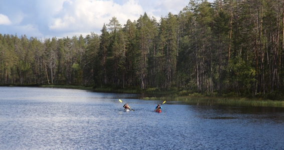 Hiking in Finland in August: paddling in Hossa.