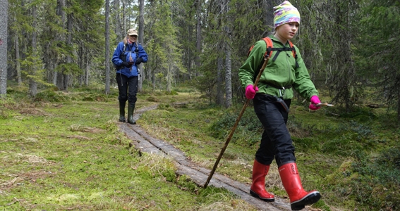 Guidebook Hiking in Finland